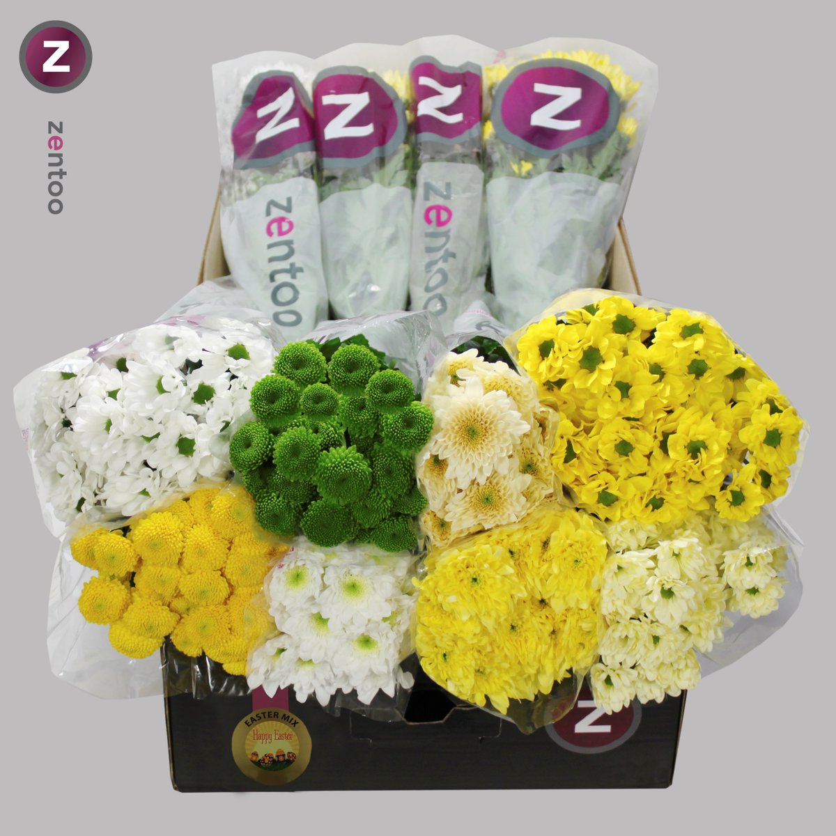 zentoo_nl's tweet photo. Eind maart is het #Pasen, het feest van de #lente. Een prachtig fris gekleurd Paasboeket met Zentoo chrysanten is dan natuurlijk een mooie manier om het nieuwe leven in huis te halen en de Paastafel op te fleuren. Daarom introduceert #Zentoo de Easter Mix. https://t.co/fz1vJEipf7 https://t.co/Y4FMADwB0B