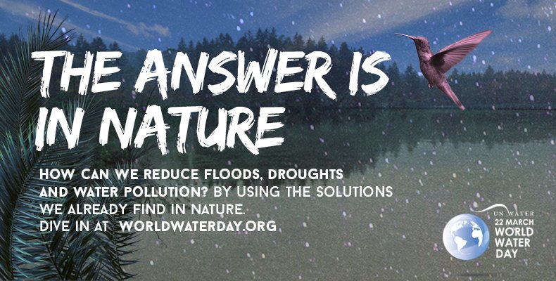emterragroup's tweet photo. #WorldWaterDay today and everyday, fill your reusable water bottles and don't waste! https://t.co/3AaBOcqMJS
