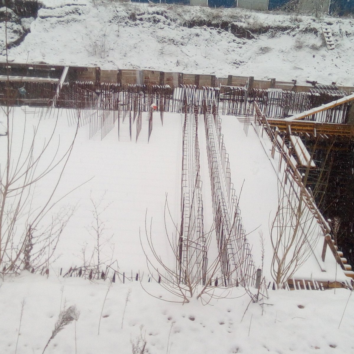 Pëllumb Alushi (@alushipellumb) on Twitter photo 