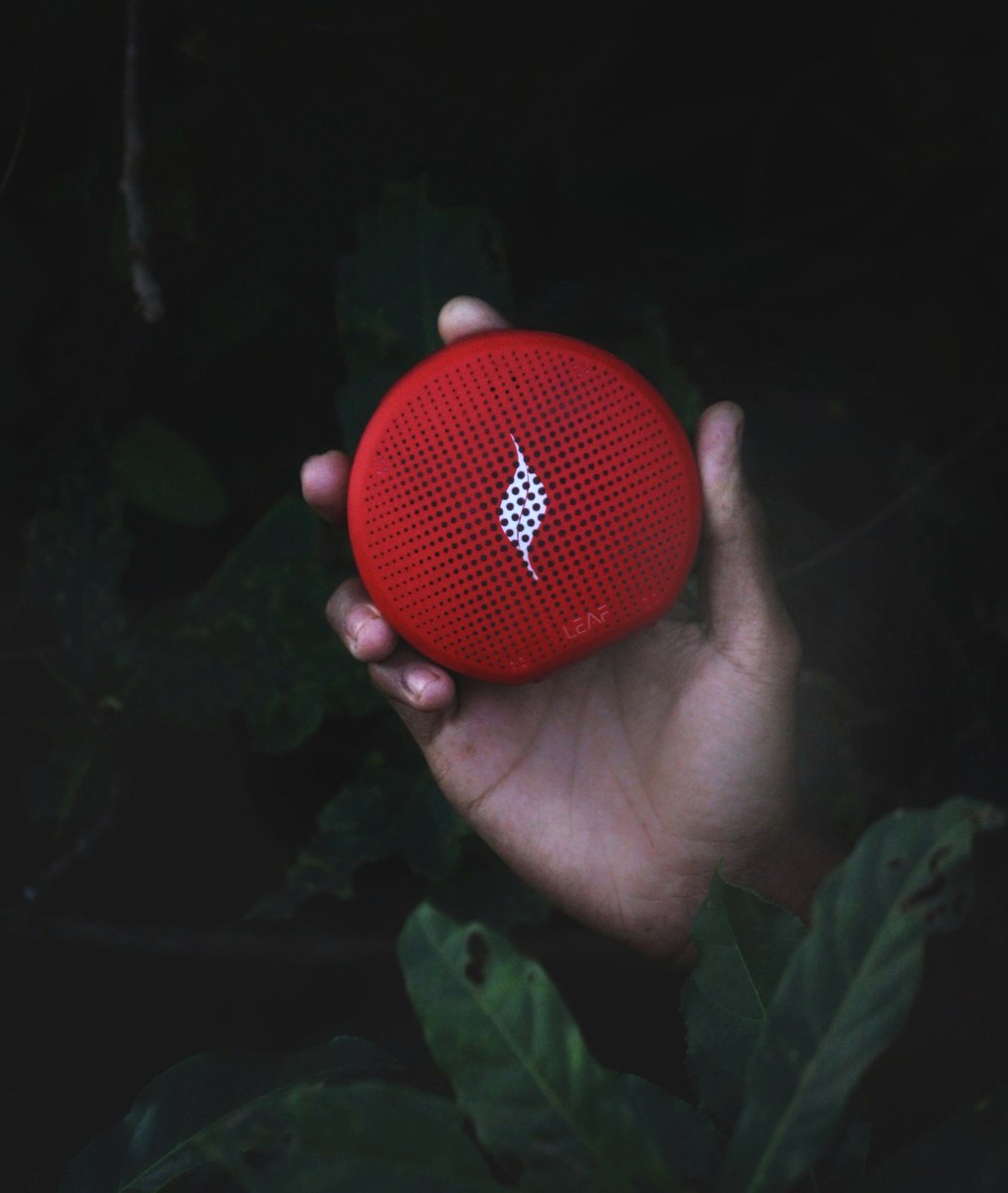 leafstudiosin's tweet photo. The Earth has music... for those who can FEEL IT. https://t.co/ltDetoQEUw
#feelthemusic #dreambigger #leaf #leafpop #pop #popstar #nature #earth #red #handportrait #photography #instagood #india #speaker #Wireless #musicwayoflife #ThrowbackThursday #startup #india #passioneering https://t.co/QVlaUTkUUw