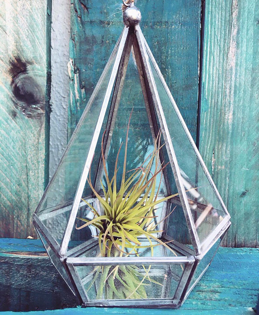 Flea Style tweet media