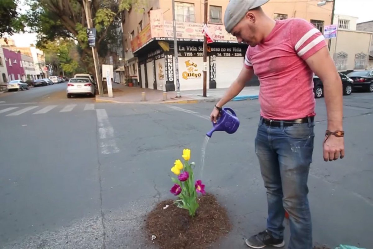 grescoe's tweet photo. I see great potential for this idea in #Montreal.
Urban Hackers Turn Potholes into Miniature Gardens In #Mexico City #DF https://t.co/txlGlJew5s https://t.co/OzcJUH5ra6