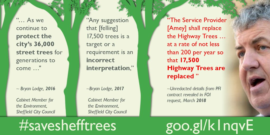 nostumpcity's tweet photo. We've had nowt but lies from the Council. Now the truth is out - via FOI request.There is a target to fell HALF of Sheffield's Street Trees, despite denials of targets by the council - and 2 residents are facing £27k legal costs for daring to act. #saveshefftrees https://t.co/BZtfxHG6MW