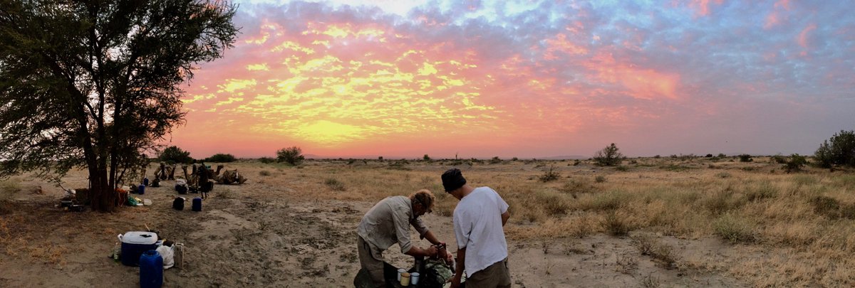 theriftdoc's tweet image. Some new photos added to the website!! Go check them out.. 

theriftdoc.com/home