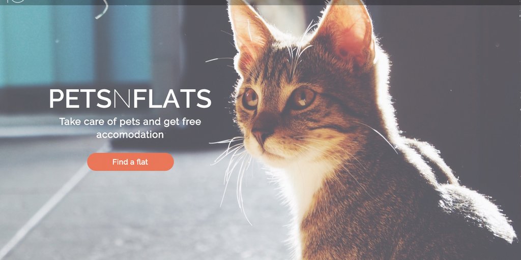 rrhoover's tweet photo. Ha! Amazing 👉🏼 Airbnb but with cats: https://t.co/pGlEIywdtK https://t.co/erPsfzCik9