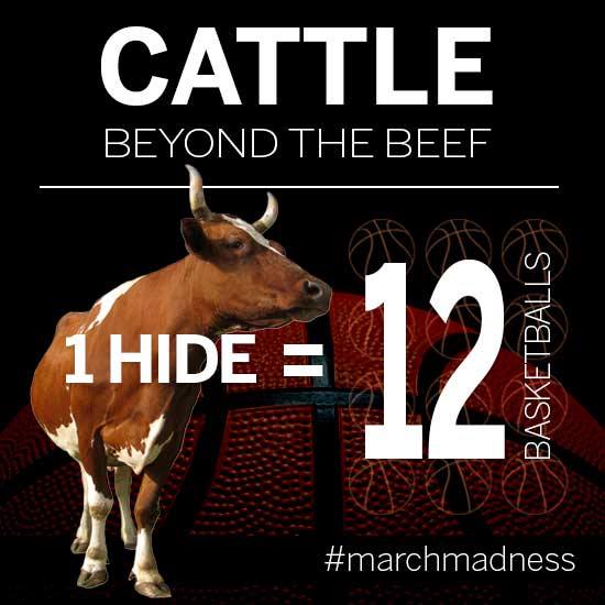 Are your #MarchMadness brackets busted? Redeem yourself with this farm fact: One cow hide can make 12 basketballs.