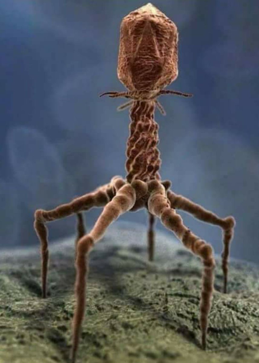 Jasmuna1's tweet photo. #Virus Advice

Know ye all things about all things you cannot know.

#March is #Hermetica Month   

https://t.co/oCVrgncMef https://t.co/x1npJDOTNb