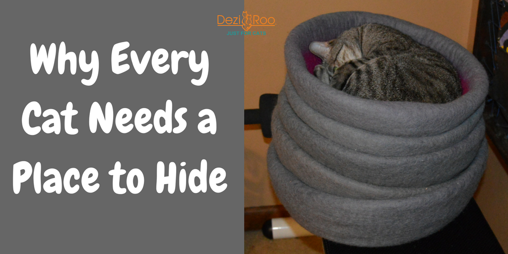 Dezi__Roo's tweet photo. Hiding is a basic need all cats have.  It taps into their normal, natural behavior.  Learn why every cat needs safe places to hide  https://t.co/G7eXkK9PXD https://t.co/m4bu4XCTyk