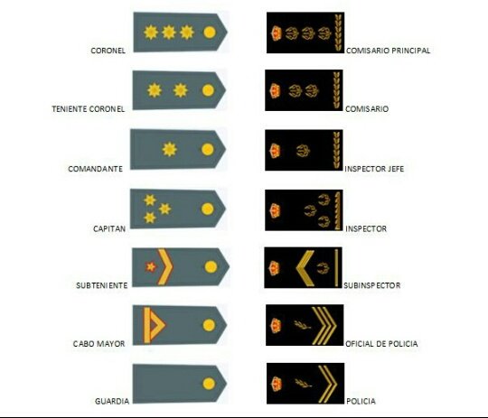 تويتر \ Físicas CNP على تويتر: entre los rangos de Guardia Civil y Policía (de forma aproximada). https://t.co/WOsRBwVKD4"