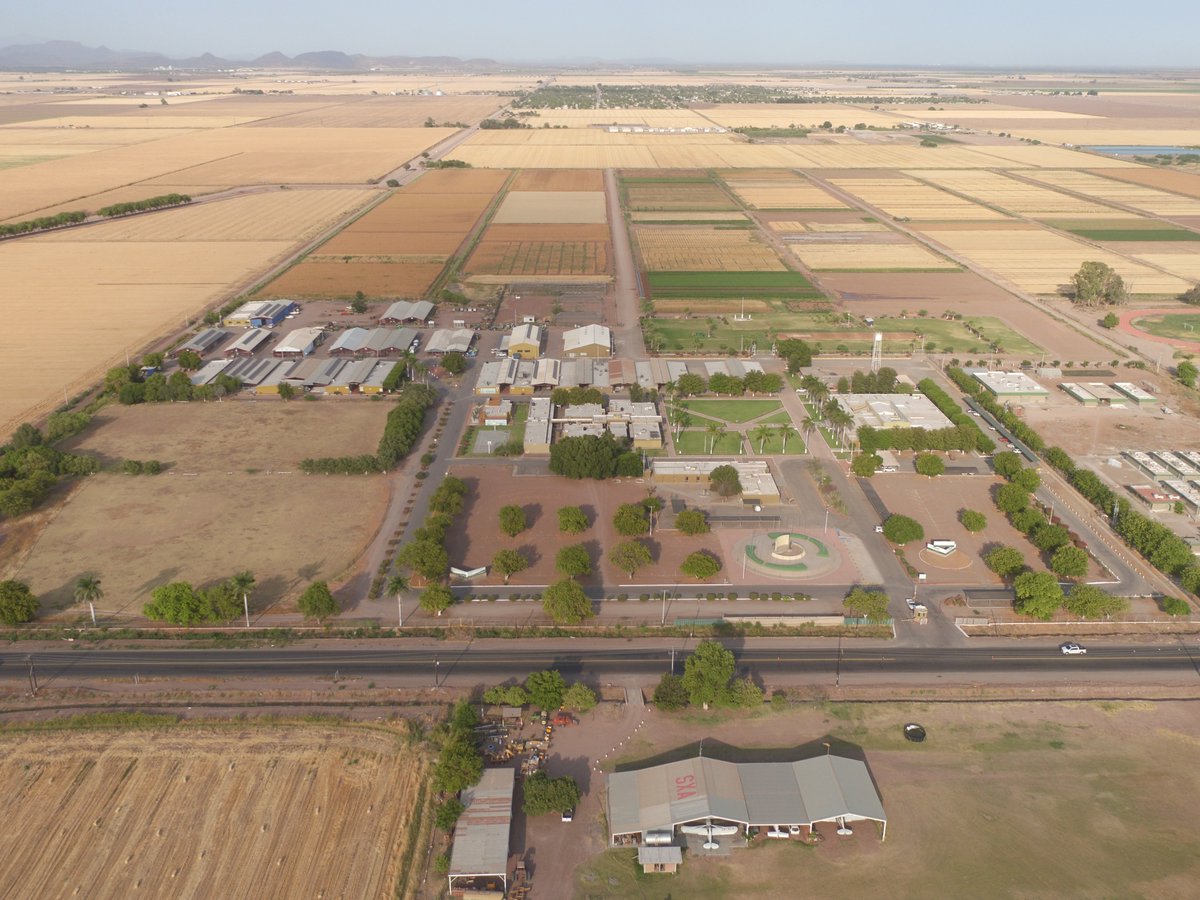Aerial view of CIMMYT station at Cd. Obregon updated. <a href="/IWYP_wheat/">IWYP</a> <a href="/CIMMYT/">CIMMYT</a> @CimmytWMB