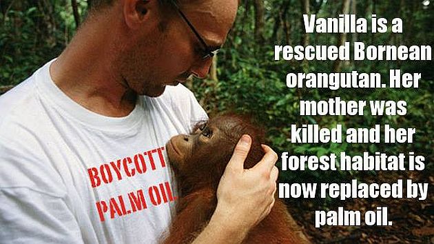 Palmoilresearch's tweet photo. I think this problem is happening more and more often now because of the increase in palm oil production. https://t.co/Vl8pBowv6M