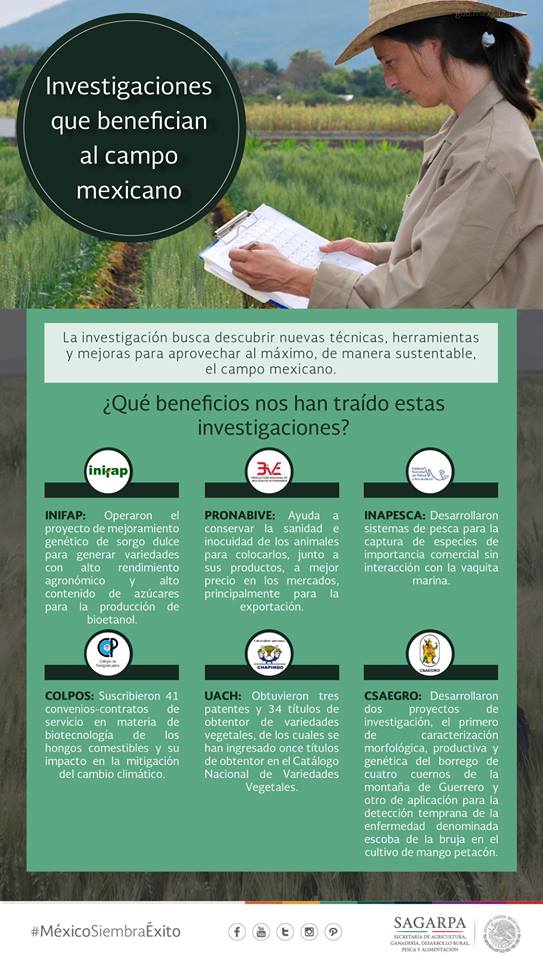 #espírituCSAEGRO #investigación