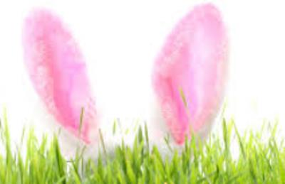 MuseumandArt's tweet image. Want to make the Bouncing Bunny bounce after the crunchy carrot?  You can on 4th April at our #Easterworkshop There&apos;s a #Dinosaur egg Trail to solve too! 
10:30am-12:30pm £2 per child #crafts #family #fun #easterholidays Sponsoredby @FrSMAG