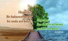 HasanTaskin18's tweet image. 