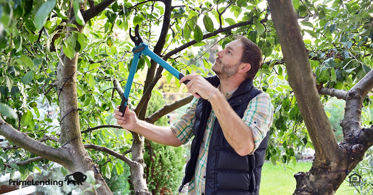 HouBaker's tweet photo. Ready for stormy spring weather? Clean gutters so they don’t overflow and trim branches that could break and fall onto your home or car. https://t.co/YLfKa9mLyD