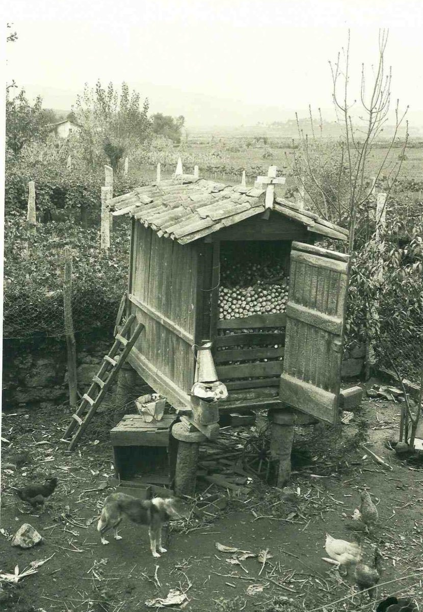 #Padrón (A #Coruña). 
Hórreo fotografado pola estadounidense Ruth Mathilda Anderson, na súa viaxe galega dos anos vinte do século pasado.