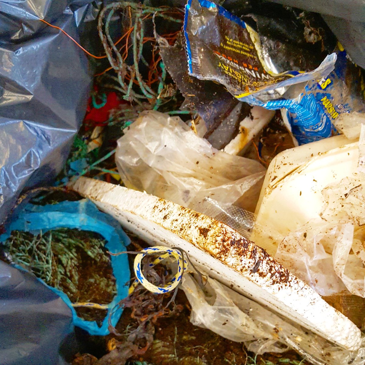 Time for the March mini beach clean at the Marine Station. In 20 minutes we collected enough old rope, netting, sweet wrappers and plastic to fill a 60litre bin. #marineplastics #plasticfree @PlymUni @MarineSciSoc @SciEngPlymUni @MarineSciPlym
