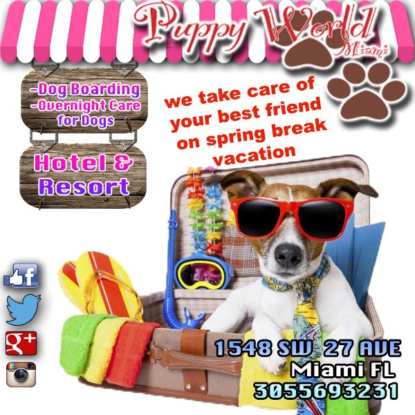 puppyworldmia's tweet photo. Spring Break Vacation we take care your best friend call now for reservations 3055693231 // 1548 SW 27 AVE Miami FL #puppy #puppyworldmiami #grooming #boarding #miami #dogmiami #dogs #lovedogs https://t.co/hIlMXrJVTm