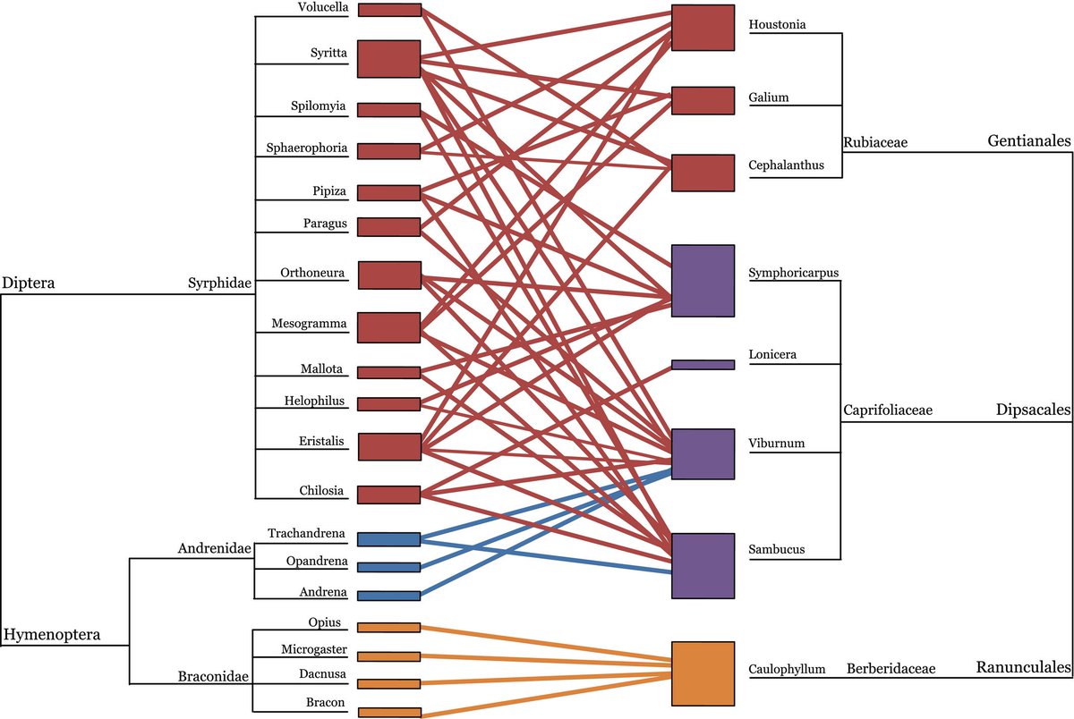 MethodsEcolEvol's tweet photo. The #Coevolutionary structure of mutualisms shows asymmetry and patterns of vicariance and #Phylogenetic tracking.
Find out more in this month's issue of Methods in #Ecology and #Evolution: https://t.co/PFJLaZTdV1 https://t.co/5pEjSYfBvq