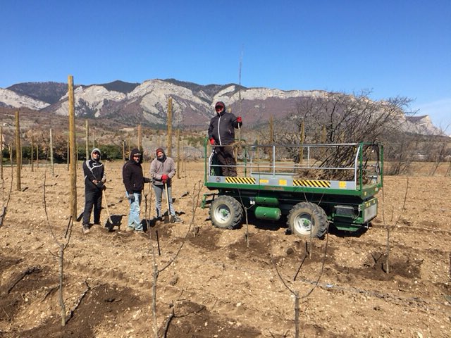 superalp3's tweet photo. Plantation QTee Hautes Alpes jour 2
🍐🍏🍎une passion #QTee #superalp https://t.co/shpGm8Aja7