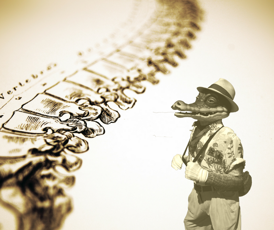 KocoOfficial's tweet photo. Los primeros cocodrilos aparecieron en la Tierra hace unos 240 millones de años, casi al mismo tiempo que los dinosaurios. Koco apereció un poco más tarde pero vino para quedarse !!#Cuba #Koco #ElNuevoReyDelMambo #dinosaure #dinosaurios #cocodrilos https://t.co/WY0f3nLyMk