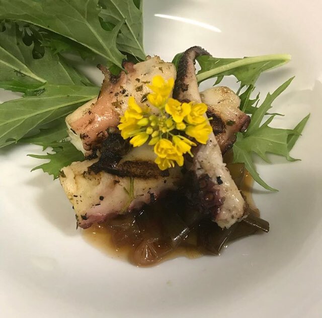 TerraSD's tweet image. If you missed our #knowthesource dinner- grilled octopus with spring onion agrodolce &amp;amp; mizuna... going on new spring menu. Next dinner series- April 9. #farmtotable #terrasd @SpecialtyProd