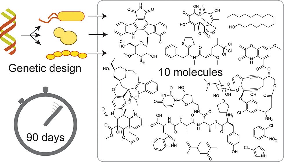 The Living Foundries program set out to transform synthetic #biomanufacturing into a predictable engineering practice. A new article in <a href="/J_A_C_S/">J. Am. Chem. Soc.</a> describes results from pressure test using <a href="/broadinstitute/">Broad Institute</a> tech to synthesize 10 molecules in 90 days! pubs.acs.org/doi/10.1021/ja… #synbio