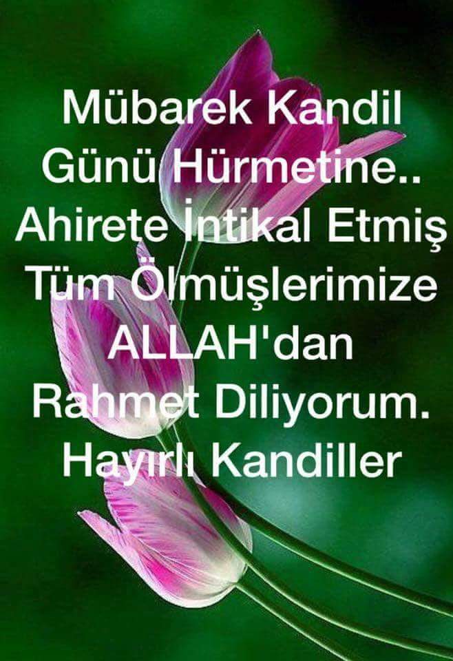KaifDoan's tweet photo. GünahIarımızdan kurtuImak için 

Bu gece dua edeIim. 

#AIIah 
Affeden ve bağışIayandır, unutmayaIım. 

EIIer semaya kaIkıp, yürekIer bir atınca bu gece, gözIer sevinç yaşIarıyIa doIacak. 

RegaipKandiIimizMübarek

DuaIarımız

KabuIOIsun

İnşa'Allah 🌷

Gönüldaşlarım 💖 https://t.co/sUGg0s6Ql5