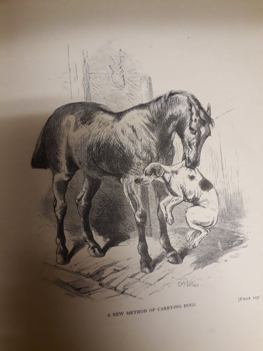 _SELCIE_'s tweet photo. To mark the official beginning of #spring a lovely #nature-themed book from the archive by Mary Howitt, poet and #Andersen translator -  a present from 'Gertrude' in 1899 @EdinCulture @histchild #GrowingUpWithBooks2018 https://t.co/nhEizd7qvL