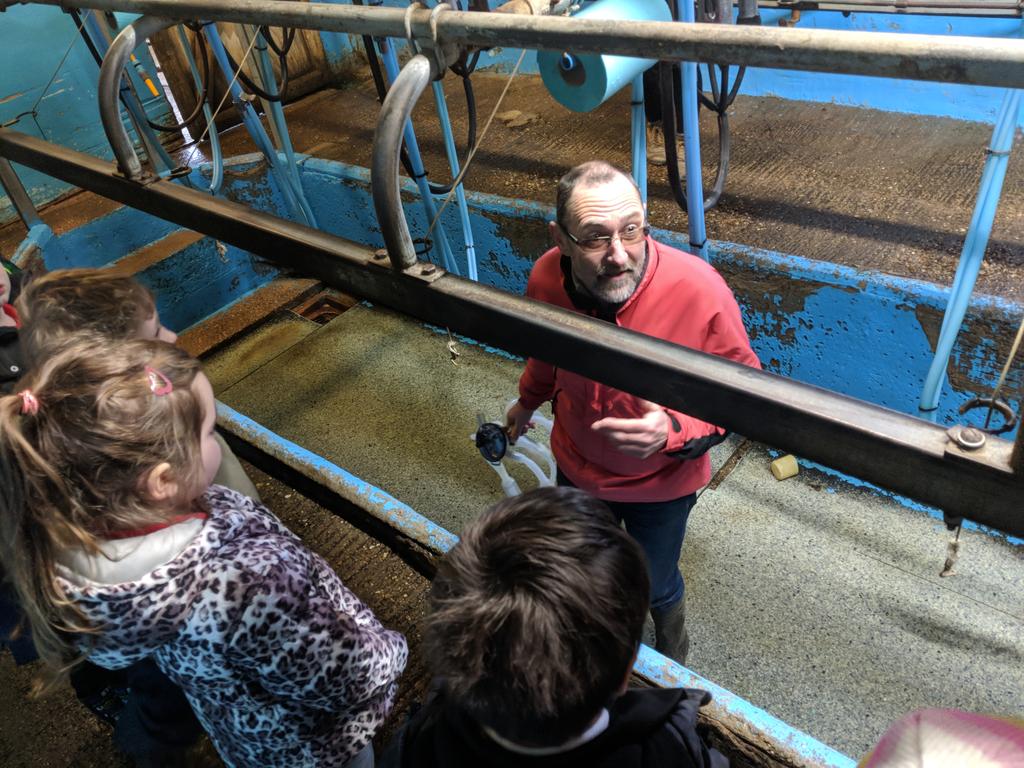 Bradfield Dungworth tweet media