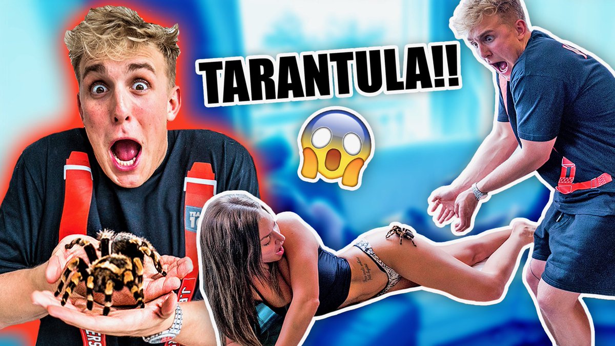 Jake Paul On Twitter Did A Tarantula Prank On My Girlfriend She Freaked New Vid Peep It Https T Co Ggqntnqnxj