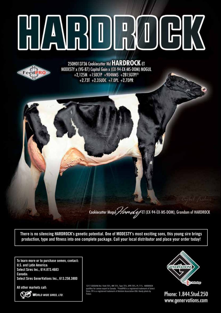 250HO13736 HARDROCK is an exciting young sire with lots to offer! Check out the details in this ad in the upcoming Holstein International.