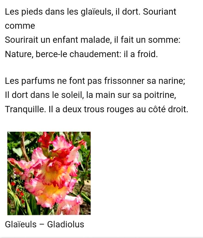 Napoleon Solo Hiatus (@thedeadlyyears_) on Twitter photo 