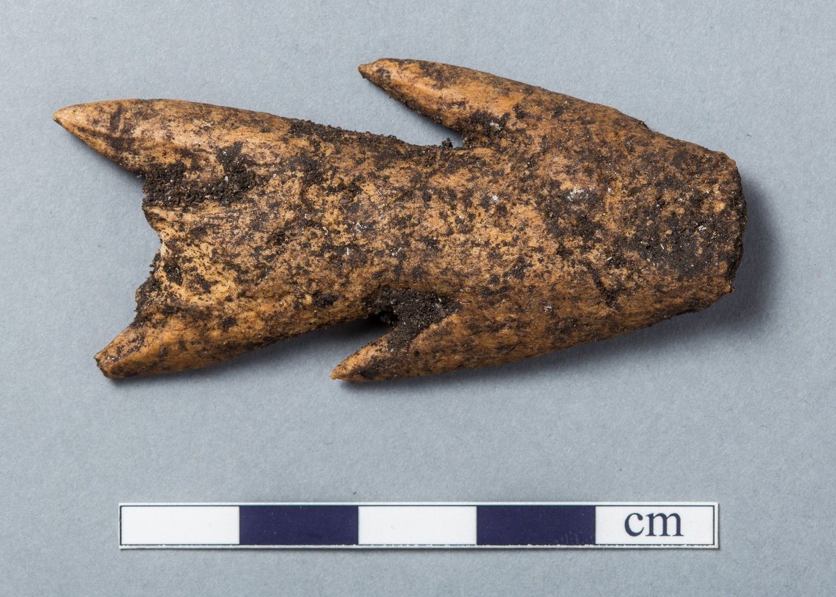 TarradaleTT's tweet photo. Just ahead of the exciting #nosas20 conference weekend in Inverness here's a new blog post on the #tarradalethroughtime project by leader Eric Grant https://t.co/nvooVElXXn https://t.co/pk8n0fZ54K