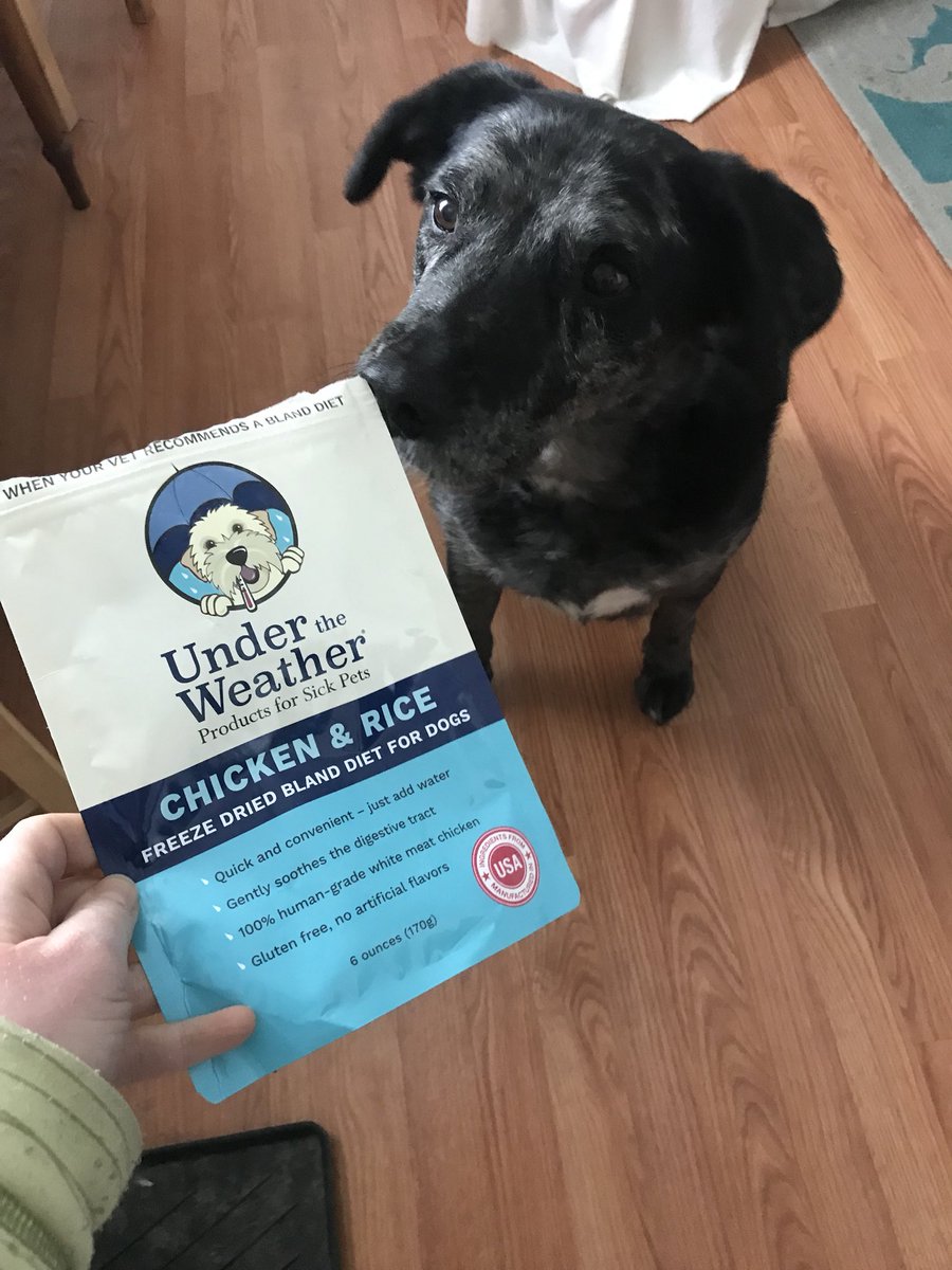 Lou and I fully endorse this product -  <a href="/UnderTheWthrPet/">Under the Weather</a> for pupset tummies, made right here in #Vermont!