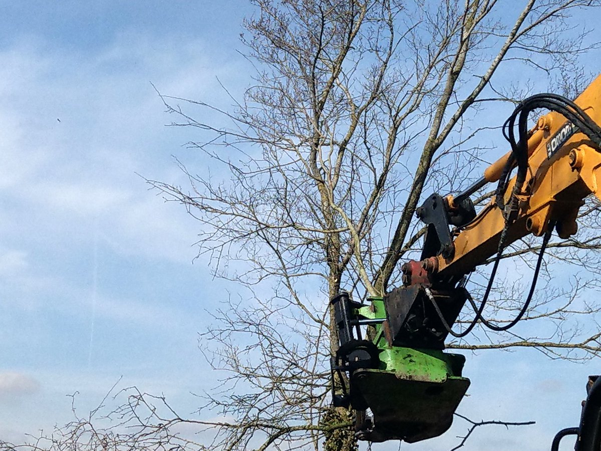 rslengltd's tweet image. More pictures of the @rslengltd 12 inch #treeshear on a #jcb 8080. Designed and made in #Hertfordshire #buybritish