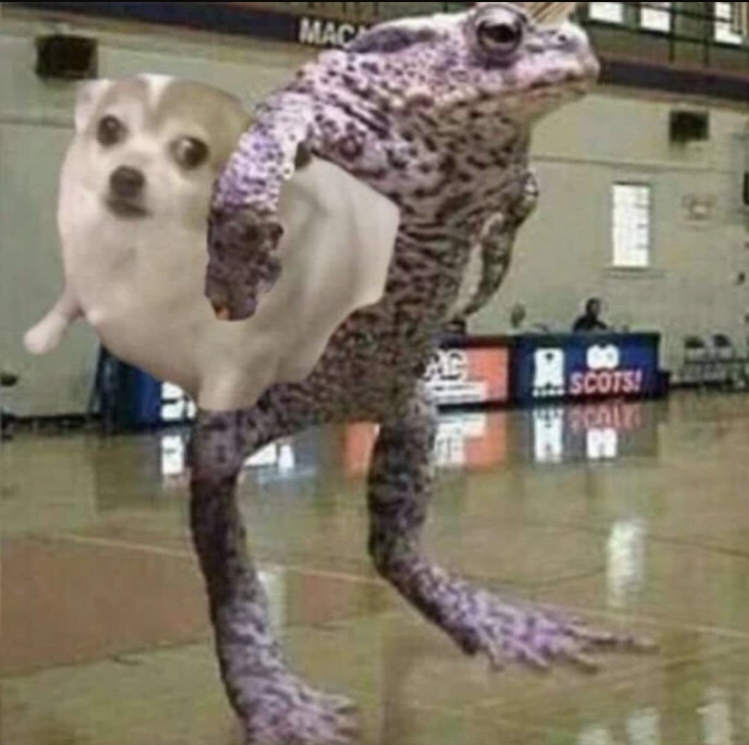 jackbemoving's tweet image. 