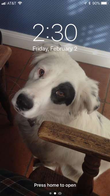 Watch Cody Schwab's leaked NSFW photo on TwXstars