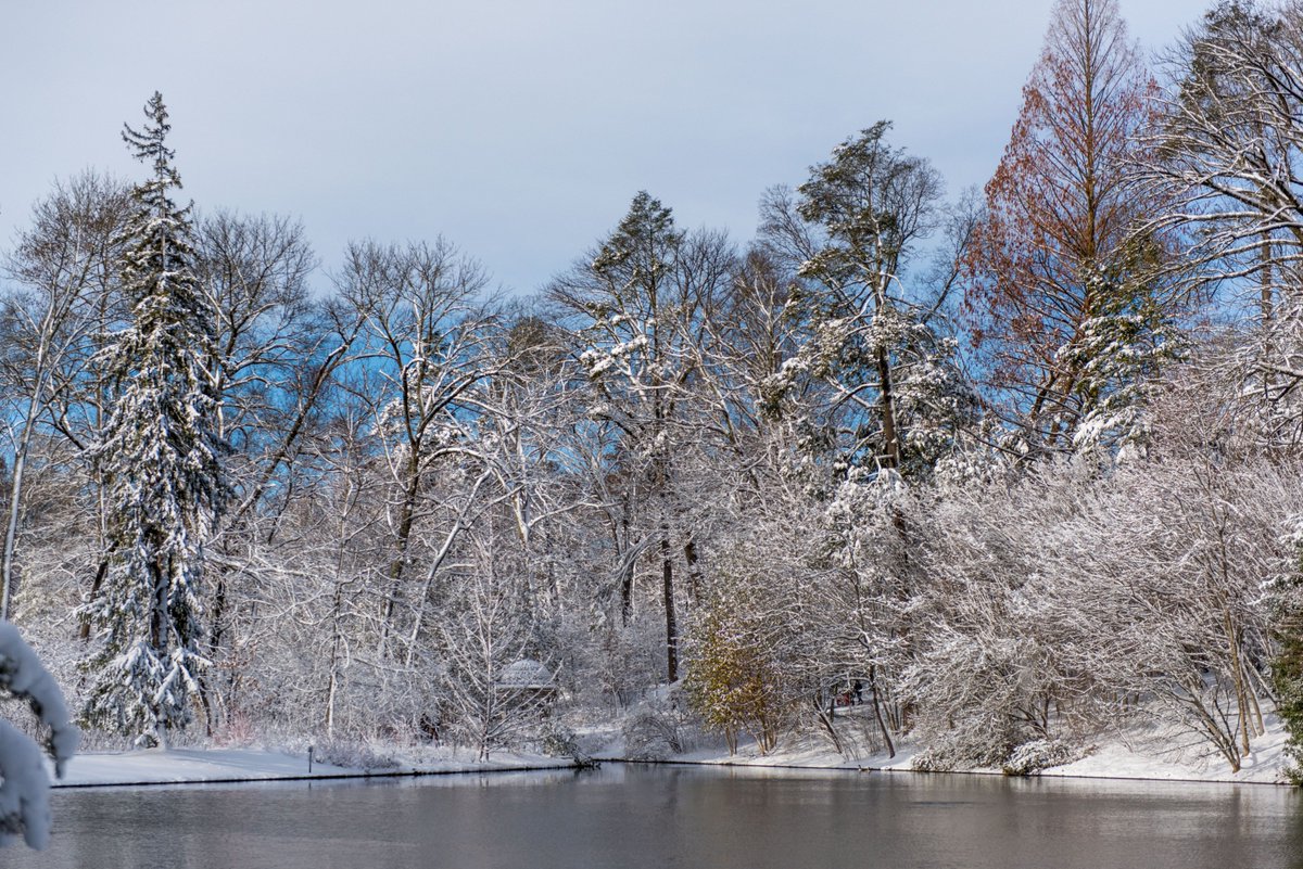 Today in the Gardens…