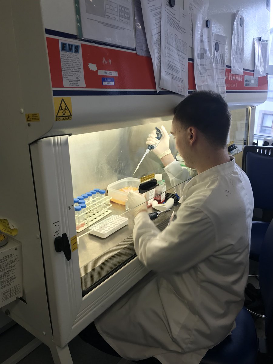 SDoughtyMP's tweet photo. Fascinating and inspiring visit this afternoon with @APPG_HIV_AIDS to see work of @IAVI with @imperialcollege and range of global partners to search for HIV vaccines #StopAIDS #ItAintOver https://t.co/xtVODn9gYR https://t.co/iUygVaSrne