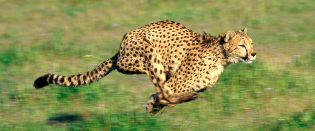 peterjanssenstw's tweet photo. Great examples of measured outcomes in an Agile organization (at the end of this article): KPIs, Velocity, and Other Destructive Metrics https://t.co/5R0pvy0D3c - Thanks for sharing @allenholub and @JurgenLACoach https://t.co/LV8NnCMkST