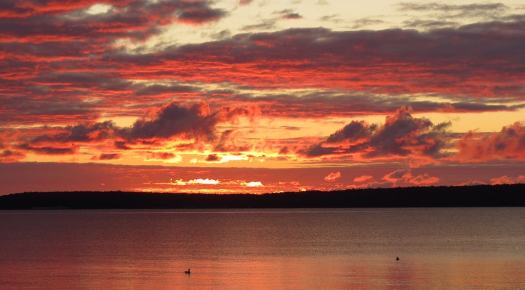 MitchandMarcy's tweet photo. #PureMichiganChat ... Favorite summer experience of 2017 -- Amazing sunrise at #StIgnace overlooking #MackinacIsland @mackinacisle
๐ธ #mitchandmarcyphotos
#sunrise #sunriseoftheday #sunrisesoftwitter @PureMichigan @MIBeachtowns https://t.co/5H90I5YnKL