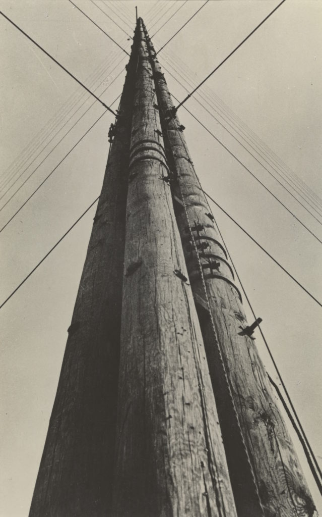 Tate Modern traces the development of photography and abstract art
bjp-online.com/2018/03/shapeo… #rodchenko Must see this show!