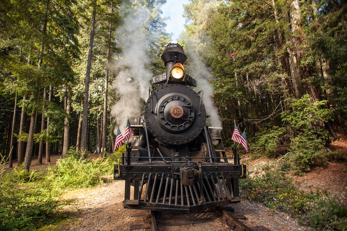 A2. If anyone’s looking for a new bucket list item, we’re partial to seeing the redwoods from the back of a train! #kidifornia #kidsntrips