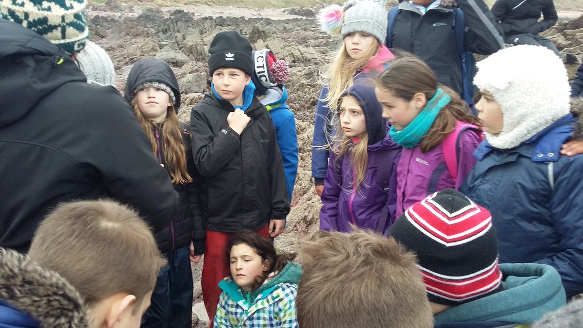 stackpole2017's tweet image. Fun afternoon at the beach learning about some amazing animals