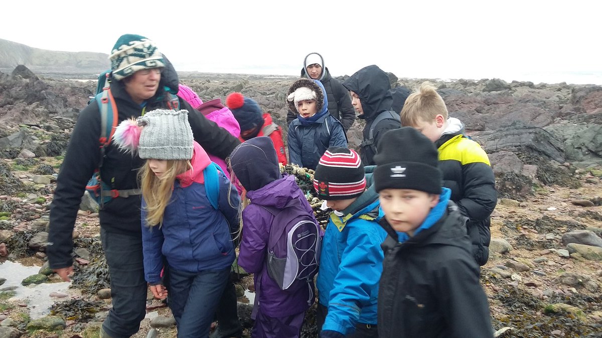 stackpole2017's tweet image. Fun afternoon at the beach learning about some amazing animals