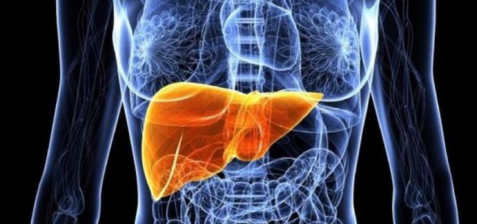 Teknosciences's tweet photo. Des chercheurs ont découvert une protéine appelée LHPP capable de ralentir le développement du cancer du foie
https://t.co/Vkljurzg9L https://t.co/HUvLdoJkDr