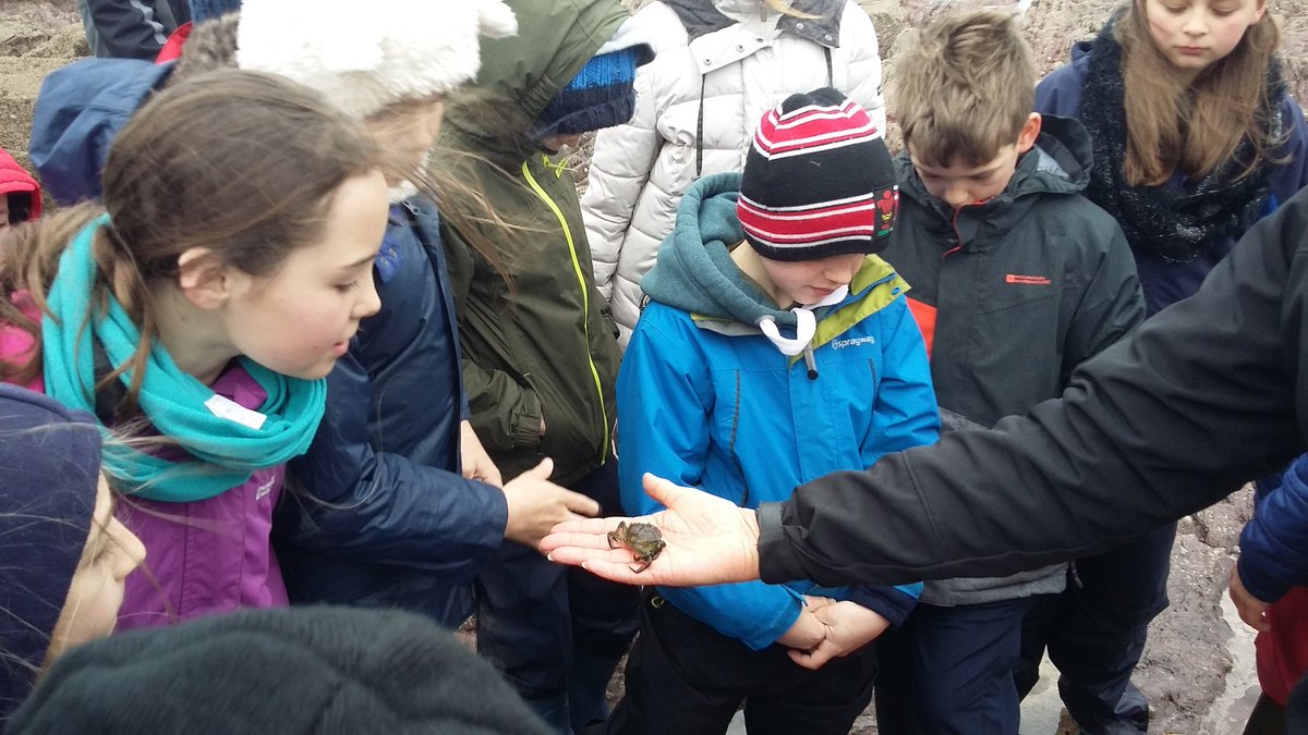stackpole2017's tweet image. Fun afternoon at the beach learning about some amazing animals