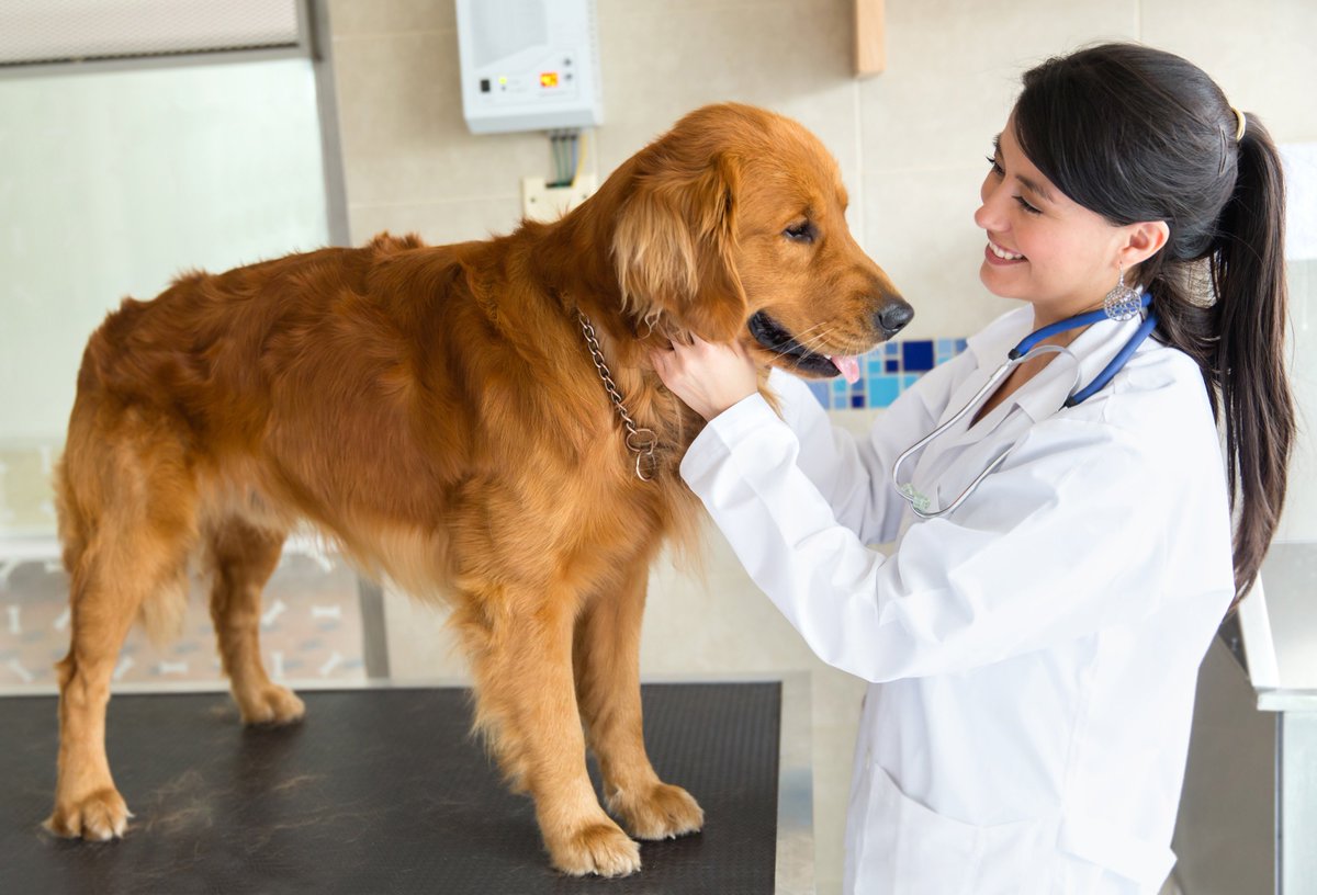 BaileyGreatPyr's tweet photo. https://t.co/0qx8KJryZN
BENEFITS OF SPAYING OR NEUTERING YOUR PET
https://t.co/ZUneIfQiGg
#AdoptDontBuy #cat #cats #dogs #dog #breed #puppy #puppies #Puppieson7 #lovelypuppies #paw #paws #cute #CutestPet #cuteanimals #AnimalsRights #AnimalKingdom #cutestdogintheworld #animali https://t.co/HGMx7VbQO7
