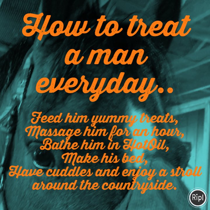 VLEquestrian's tweet image. How to treat your man 🧡💙🧡 #horses #hooffirst #royalty #spoilt #luckyforsome #hotoil #countryside  #massage via ripl.com
